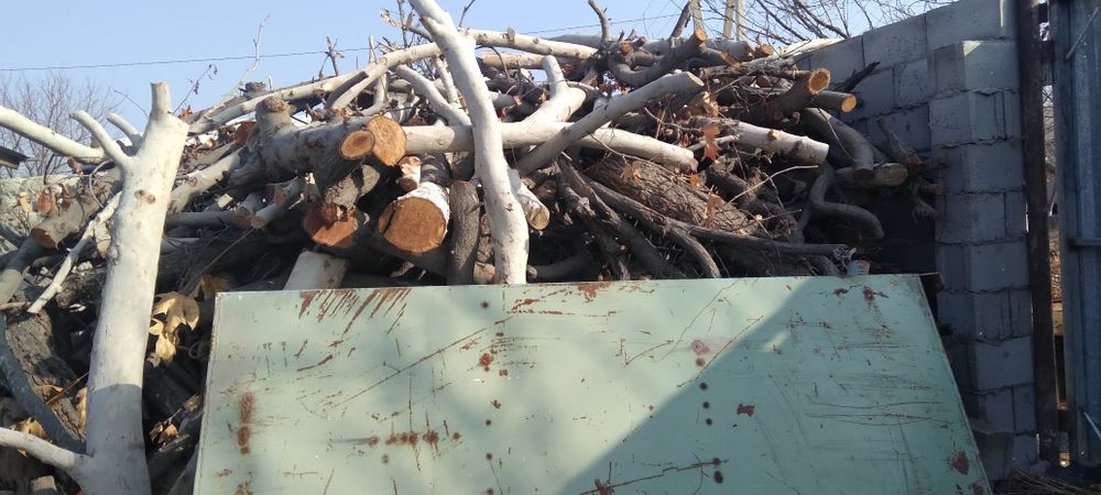 O'tin sotilade ho'l quruq aralash zaldore chinor tut o'tinlar katta ka