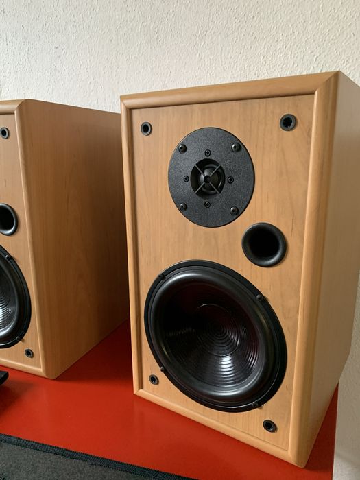 Boxe Pilot Amade 500