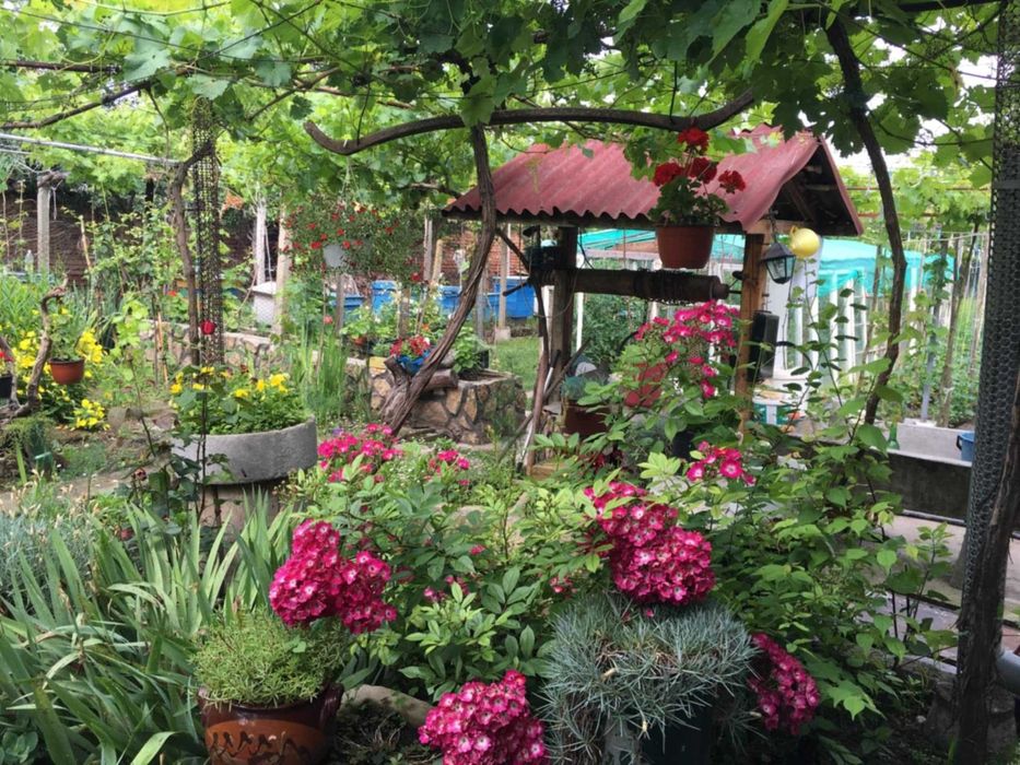 Продава се Къща в с. Ореховица, Област Плевен - 120 кв.м за 242 €/кв.м - Снимка #3