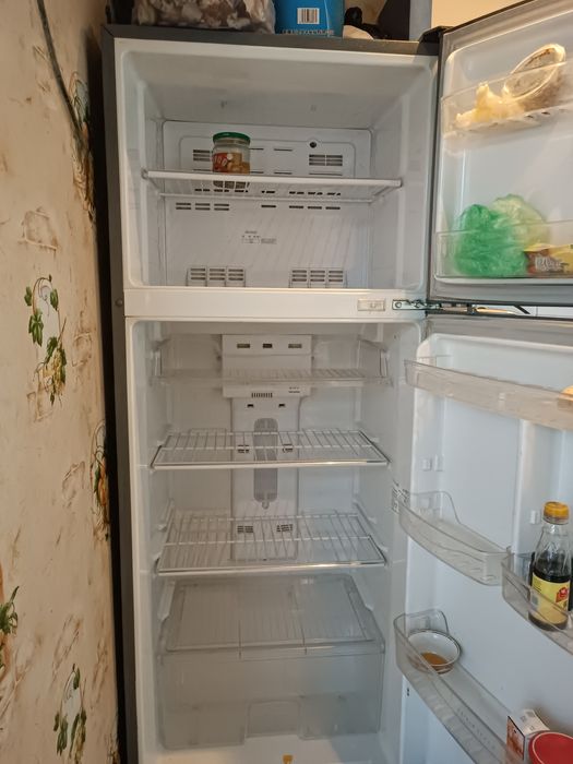 Ррроллдорртььллор