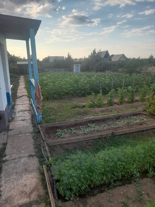Продам дачу ПКДУ Вавилова