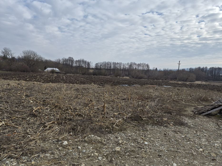 5900m2 teren+ curent