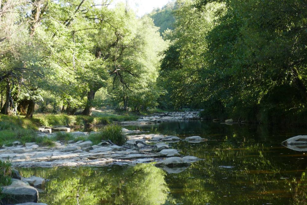 Продава се Парцел в с. Стеврек, Област Търговище - 50000 кв.м за 5 €/кв.м - Снимка #4