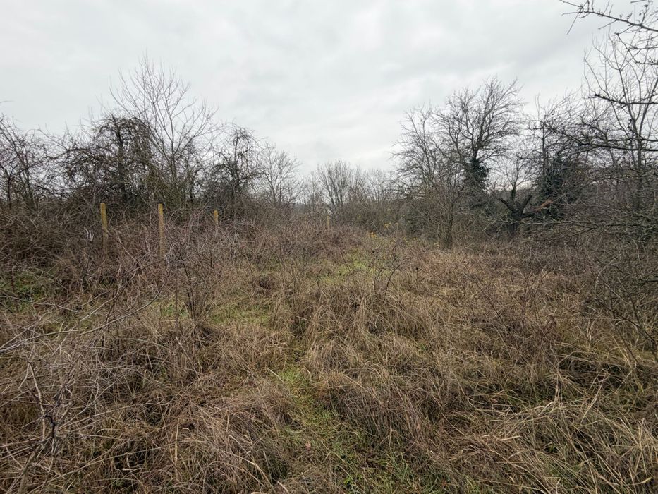 Парцел с Звездица