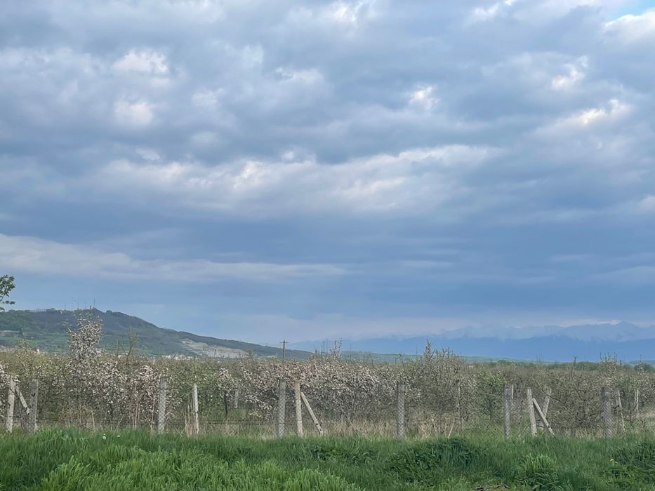 Teren PUZ aprobat Terezian | 804 mp / 948 mp | Utilități | Proprietar