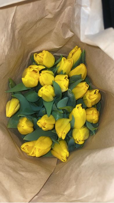 Тюльпаны оптом
