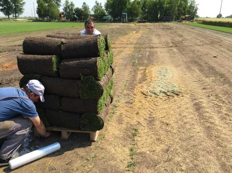 Soluții Complete: Gazon, Irigare, Montaj