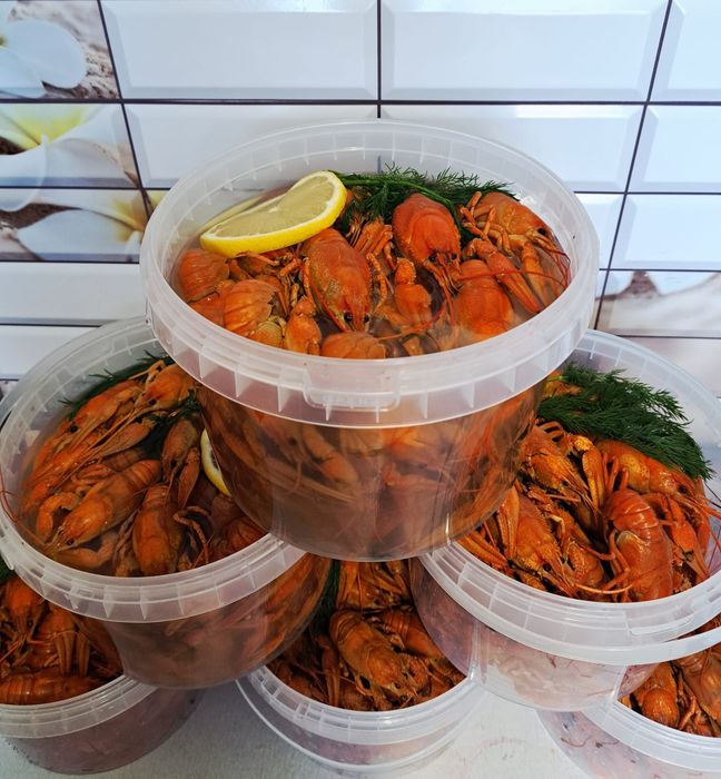 Раки варёные.Раки варёные