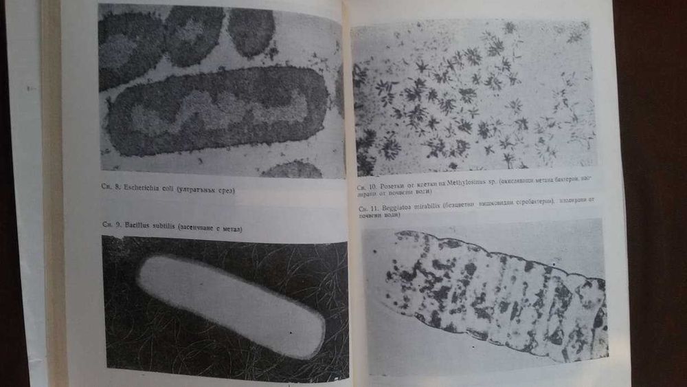 Книги за биология медицина: „Милиарди микроби“ – Курт Е.Линднер