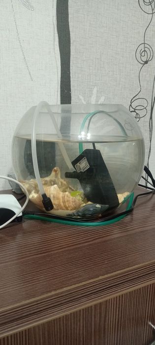 Аквариум с рыбками