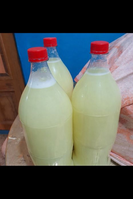 Сыворотка домашняя