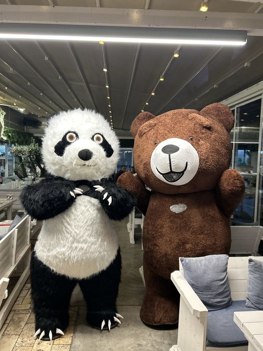 Гиганстка Мечка или Падна