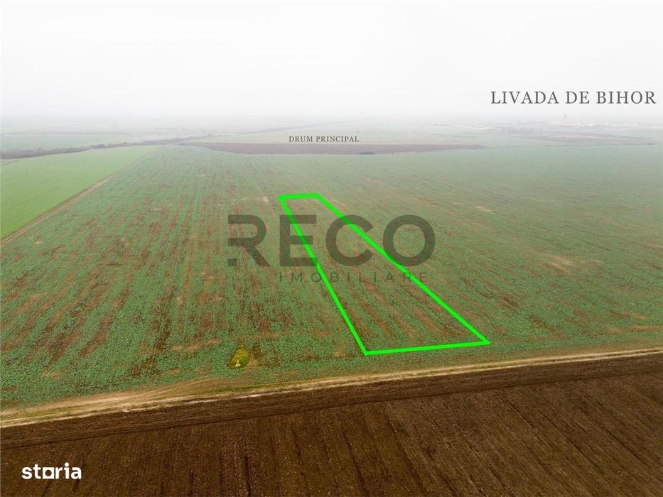 RECO Teren extravilan 5800 mp Livada de Bihor