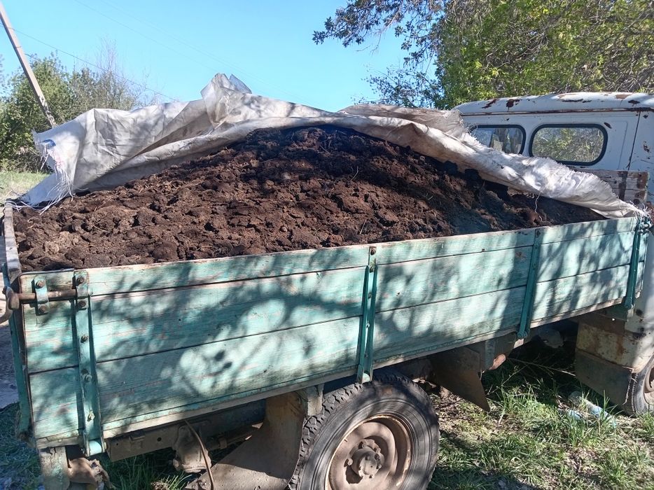 Перегной, навоз,