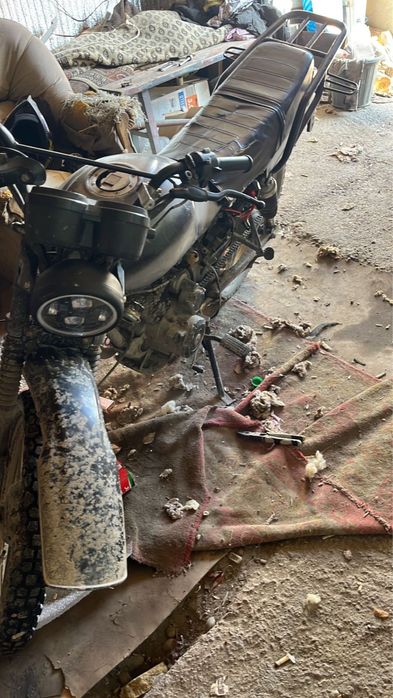 Продам м о т о срочно