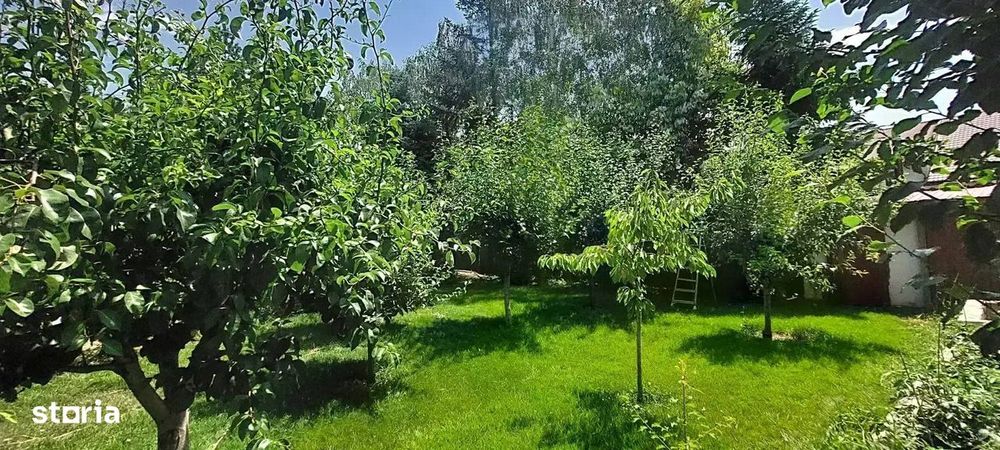 Vila cu 8 Camere Corbeanca | Semineu | Curte 2300mp | Piscina | Sauna
