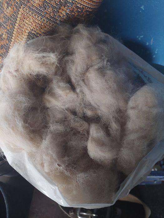 Продам шерсть Кавказской овчарки