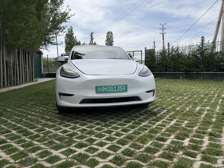 Tesla Model Y Long Range 2022 (USA)