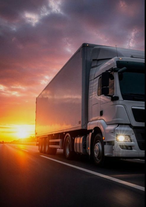 Cargo Ruhsat — бронирование очереди фур