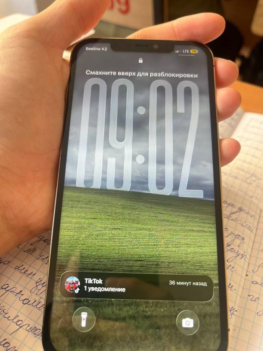 Айфон 12 Про Макс