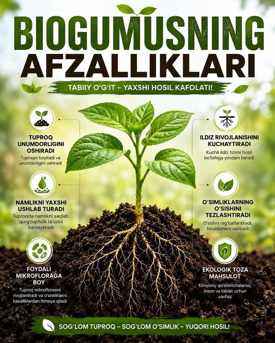 BIOGUMUS – bog‘ va tomorqa uchun tabiiy organik o‘g‘it