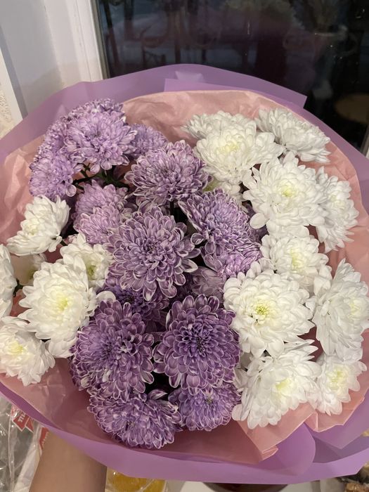 Цветы гипсофилы только что получили