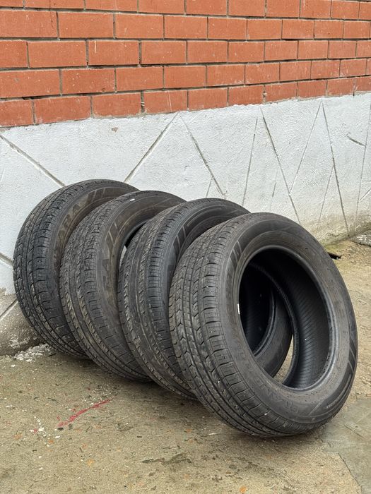 Шина ризина летняя