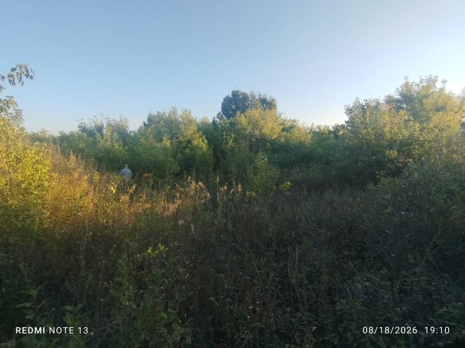 дача в садовом обществе Чапаева