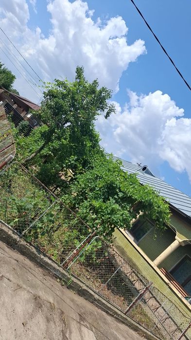 Casa in Cetatea com Fratesti