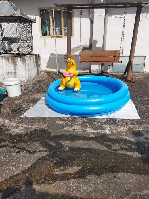 Vând casă + 675 mp teren in Loc Nermis,  Com Archis, Jud Arad