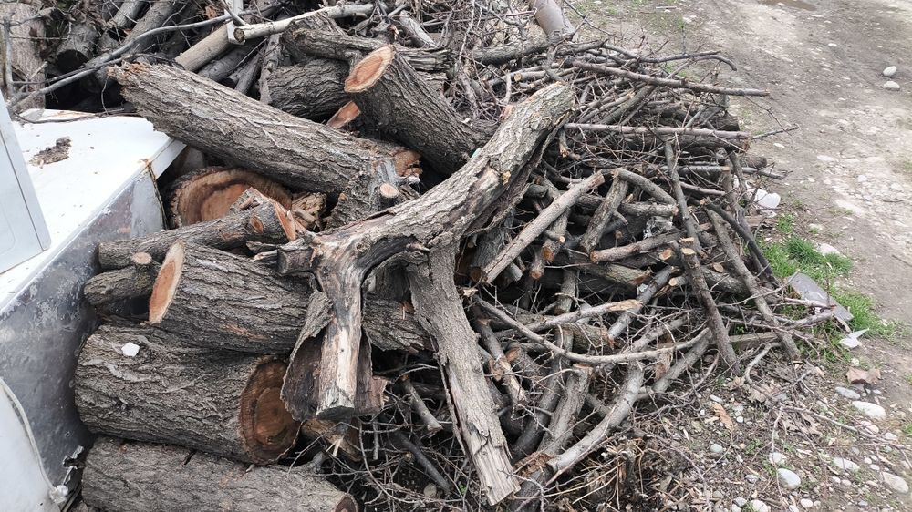 Продам. дрова. Обрикос карагаш