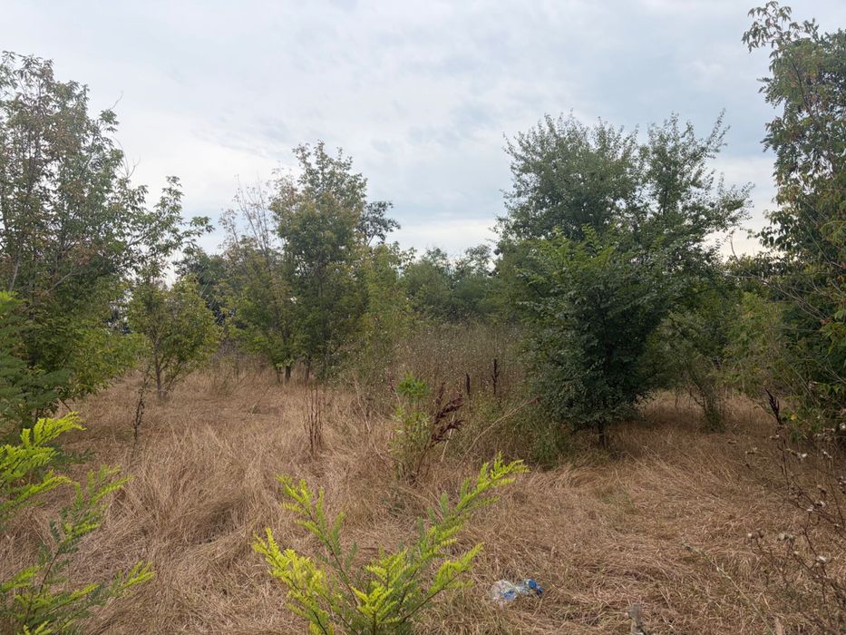 Продава се Парцел в с. Тополи, Област Варна - 3768 кв.м за 80 €/кв.м - Снимка #1