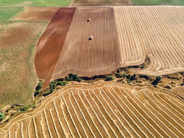 Сдам земли в аренду