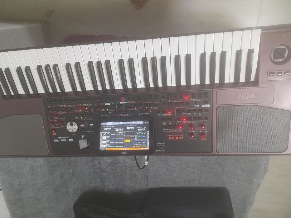 Корг 1000 професионал
