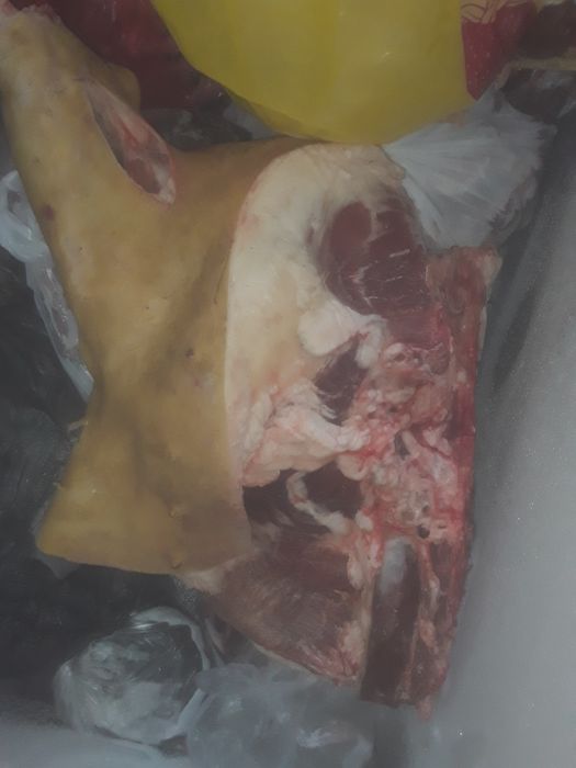 Мясо свинина 1900