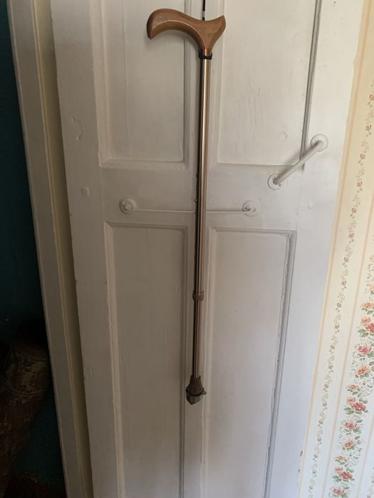 Продам трость лето- зима