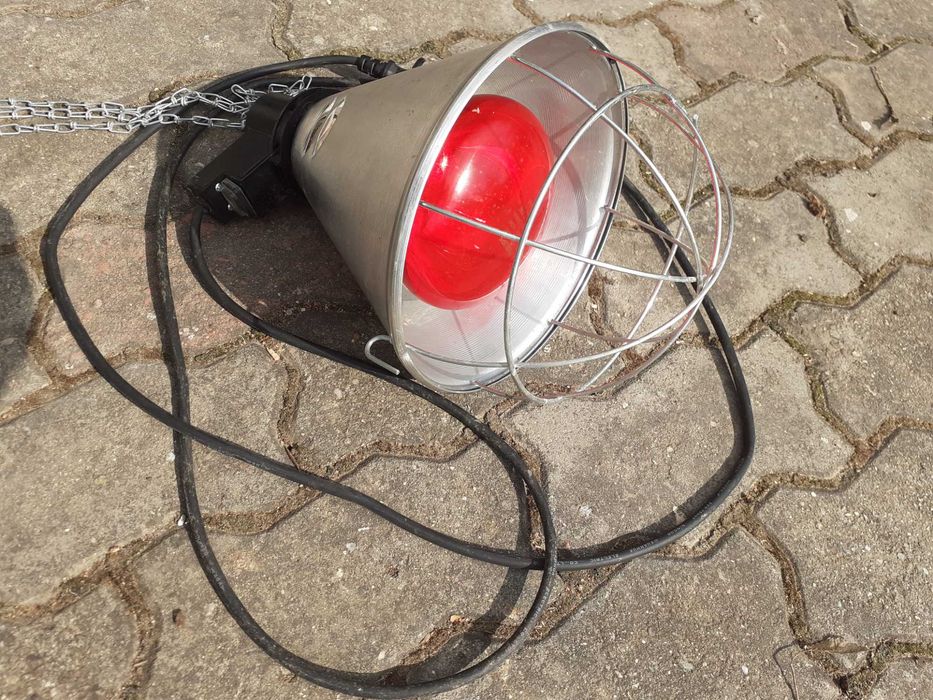 Cusca pentru prepelite completa