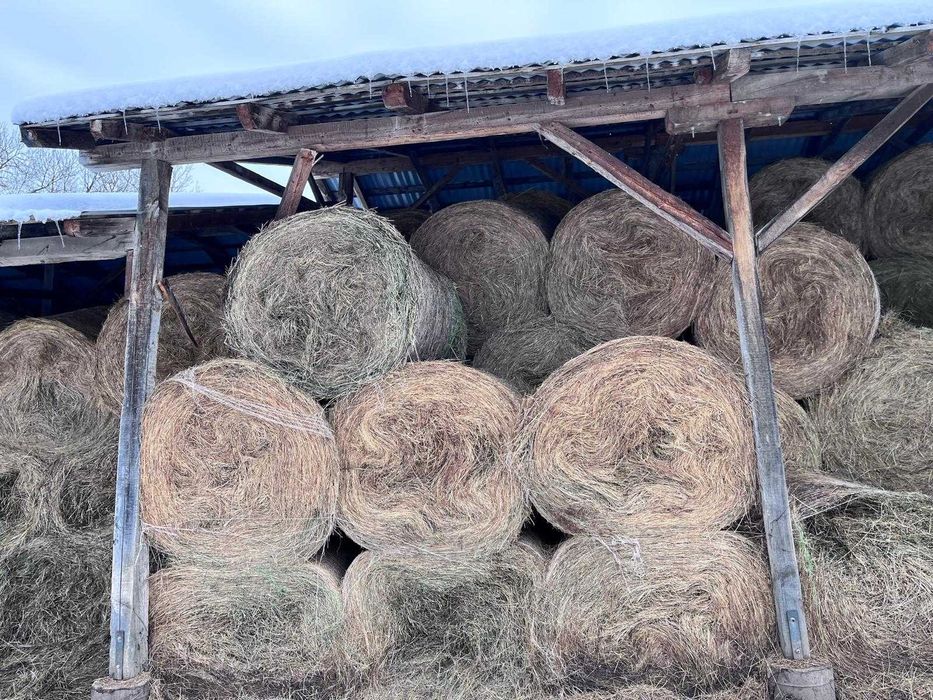 Baloți rotunzi de fân 150x120