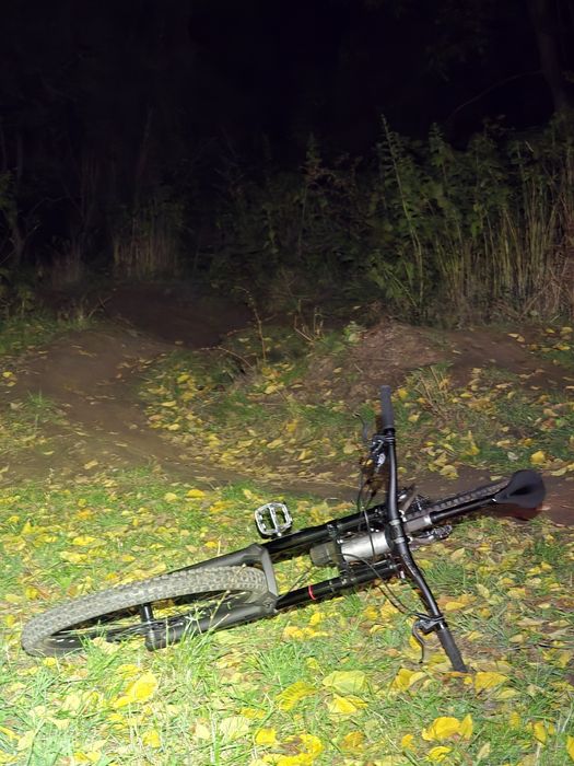 Cube Dh Boxxer Pro 27.5 L