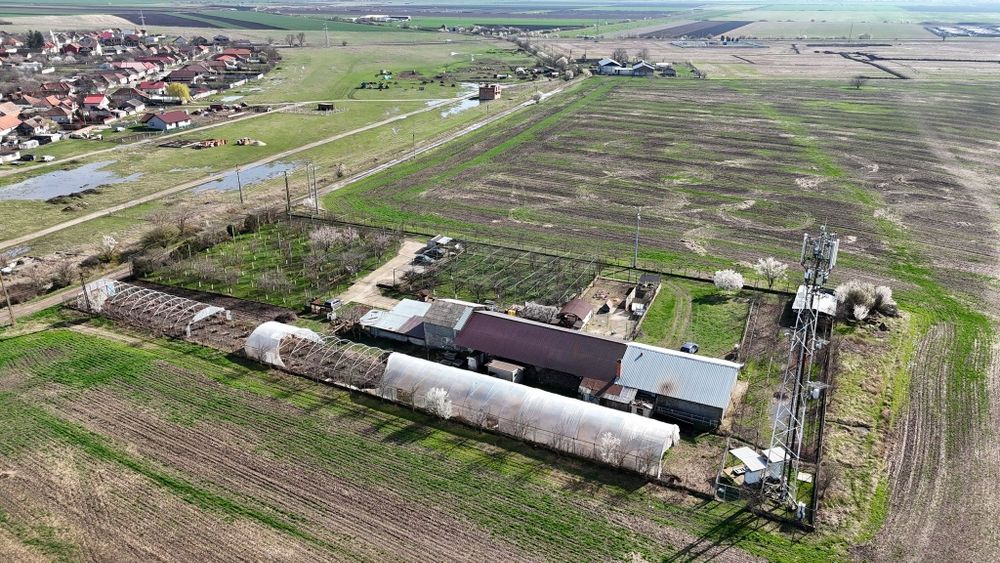 Vând fost abator în loc Horia