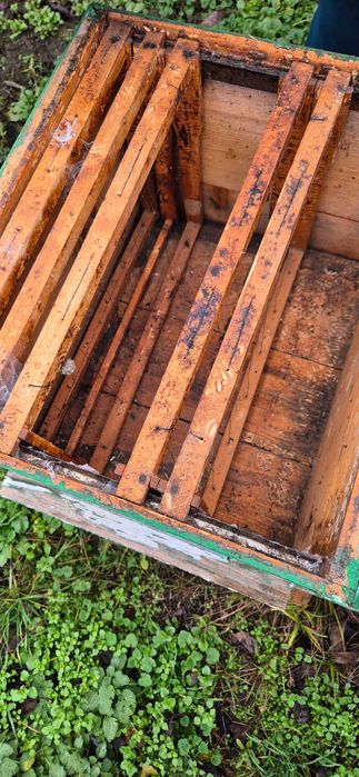 Lazi/Stupi de albine