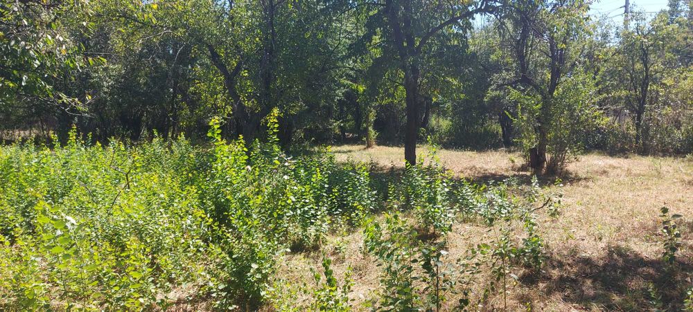 Продава се Парцел в Перник, Църква - 1440 кв.м за 46 €/кв.м - Снимка #16