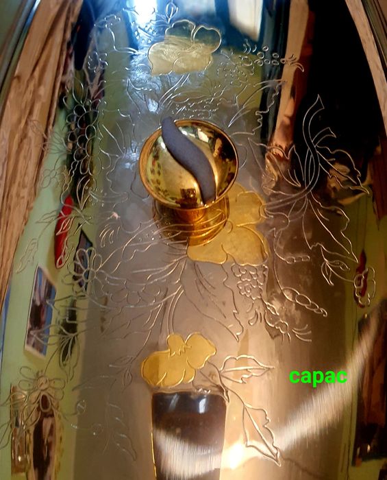 Platou/Tava de peste otel inoxidabil placat cu Aur