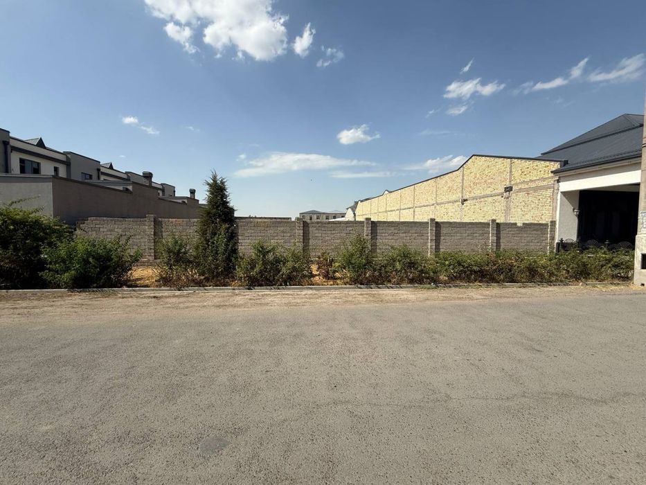 Tayor quruq yer Tuzelda