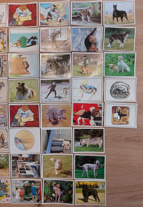 Лепенки с животни EDIZIONI PANINI, Made in Italy
