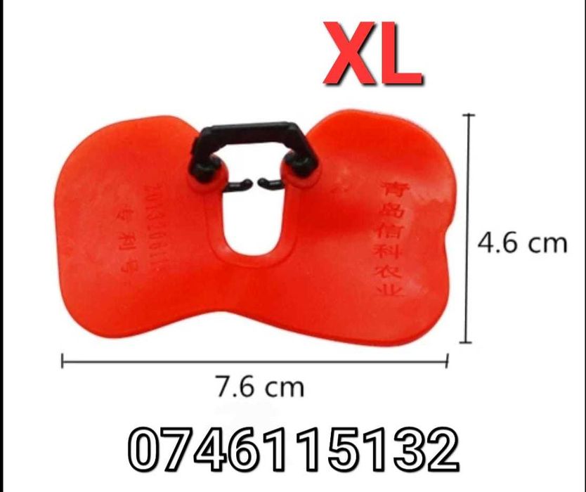 Gaini Fazani Cocosi Pauni Curci-Ochelari Pasari Mari-FARA AC-TXL