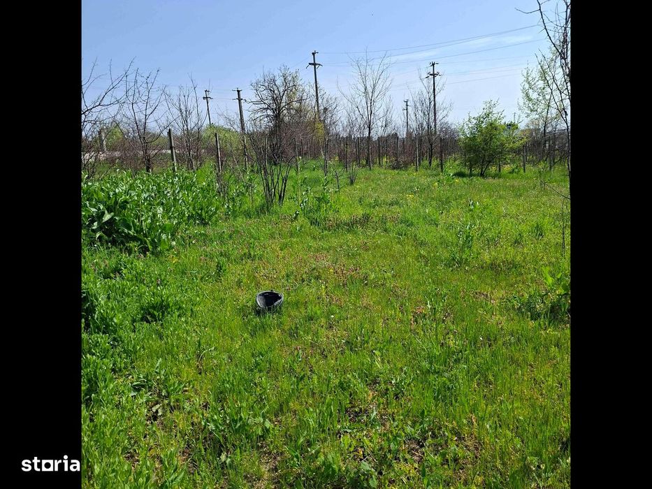 Teren Centura de Nord