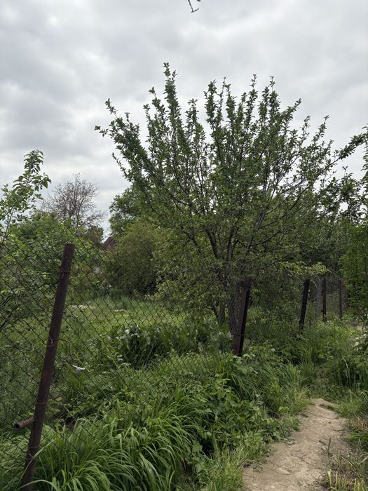Обменяю или Продам