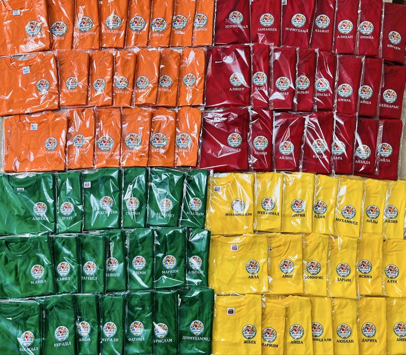 Принт, логотип на одежду