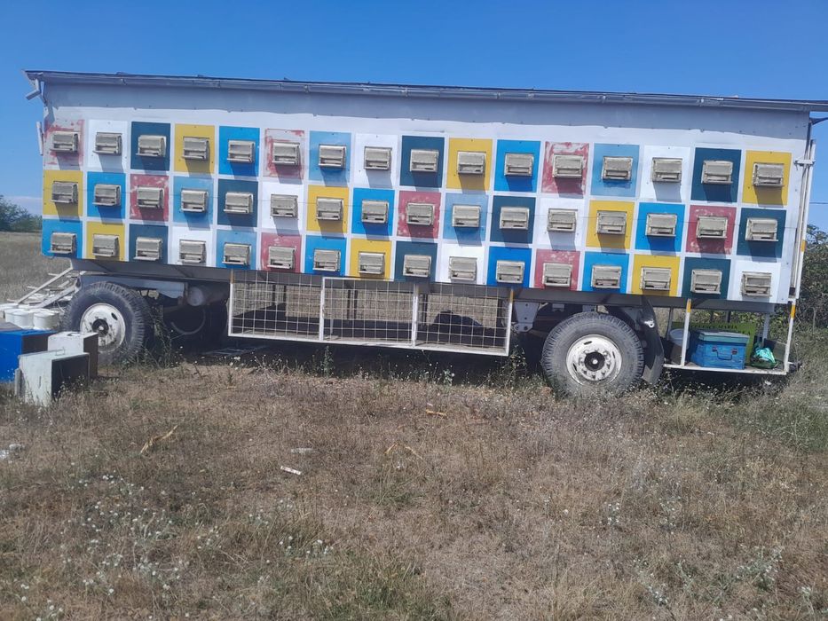 Vând pavilion apicol